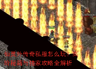 �����⴫��˽����ô�棿�߽��ؼ�����ҹ���ȫ����