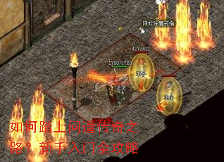 ���̤���ʵ�����֮·����������ȫ����