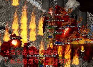 �쿴��İ������ܳŶ�ã�˽�����������ռ�����