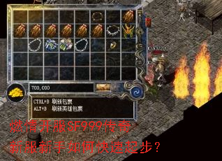 ȼ�鿪��SF999�����·�������ο����𲽣�