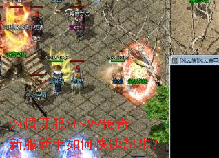 ȼ�鿪��SF999�����·�������ο����𲽣�