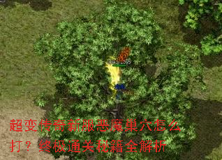 ���䴫���·���ħ��Ѩ��ô���ռ�ͨ���ؼ�ȫ����