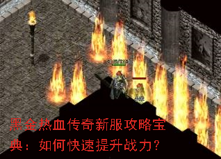 �ڽ���Ѫ�����·����Ա��䣺��ο�������ս����