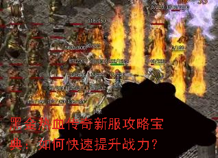 �ڽ���Ѫ�����·����Ա��䣺��ο�������ս����