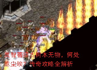�����������������δ��ǳ��������湥��ȫ����