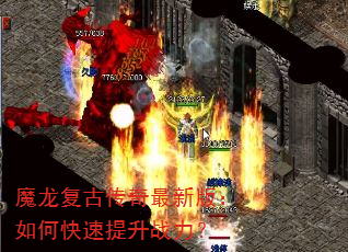 ħ�����Ŵ������°棺��ο�������ս����