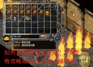 ���ѡ����ʵ���÷���ţB���湥��������ÿ���׬����