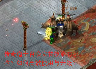 �����ʿ�ٻ����＼������Щ����θ�Чʹ����������