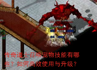 �����ʿ�ٻ����＼������Щ����θ�Чʹ����������