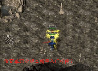 ���浥ְҵ�汾��������ָ�ϣ�