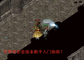 ���浥ְҵ�汾��������ָ�ϣ�
