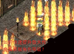 如何快速提升傲天传奇盾新服角色等级? 如何快速提升傲天传奇盾新服角色等级?