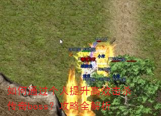 ���ͨ������������Ч��ɱ����boss������ȫ����