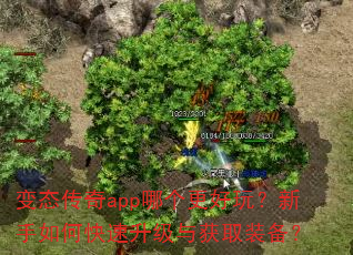 ��̬����app�ĸ������棿������ο����������ȡװ����
