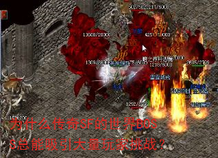Ϊʲô����SF������BOSS�����������������ս��