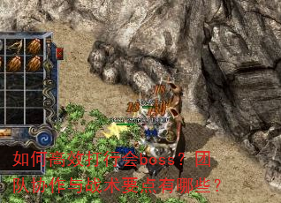 如何高效打行会boss?团队协作与战术要点有哪些? 如何高效打行会boss?团队协作与战术要点有哪些?