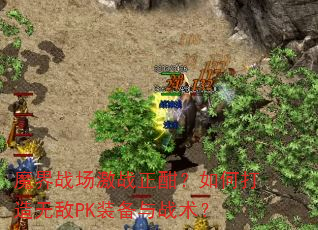 ħ��ս����ս��������δ����޵�PKװ����ս����
