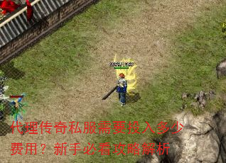 代理传奇私服需要投入多少费用?新手必看攻略解析 代理传奇私服需要投入多少费用?新手必看攻略解析