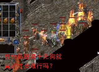 ����˽����ʿ�޹�����Ĵ粽������