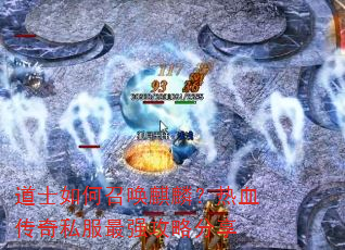 ��ʿ����ٻ����룿��Ѫ����˽����ǿ���Է���