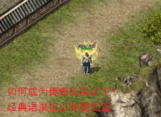 如何成为传奇私服之王?经典语录指引制霸之路 如何成为传奇私服之王?经典语录指引制霸之路