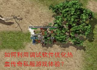 如何利用调试软件优化热血传奇私服游戏体验? 如何利用调试软件优化热血传奇私服游戏体验?