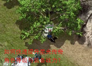 如何快速提升星光传奇角色等级与装备战力? 如何快速提升星光传奇角色等级与装备战力?
