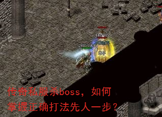 ����˽��ɱboss�����������ȷ������һ����