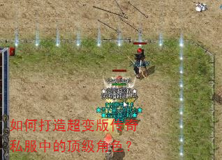 ��δ��쳬��洫��˽���еĶ�����ɫ��
