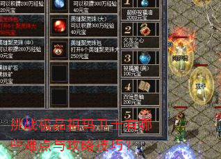 ��ս��Ʒ������ʿ����Щ�ѵ��빥�Լ��ɣ�