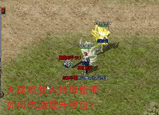 ��β�����Ŵ���������ο��������ȼ���