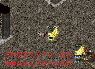 法师血量低怎么玩?复古传奇私服生存技巧大揭秘 法师血量低怎么玩?复古传奇私服生存技巧大揭秘