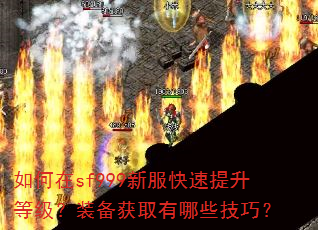 �����sf999�·����������ȼ���װ����ȡ����Щ���ɣ�