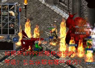 �����sf999�·����������ȼ���װ����ȡ����Щ���ɣ�