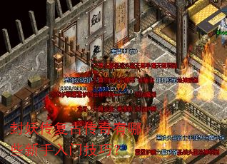 ���������Ŵ�������Щ�������ż��ɣ�