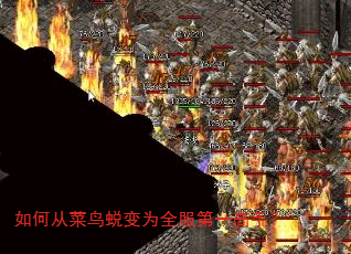��δӲ����ɱ�Ϊȫ����һ���֣�