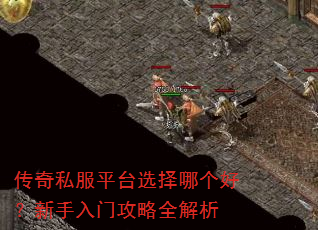 ����˽��ƽ̨ѡ���ĸ��ã��������Ź���ȫ����