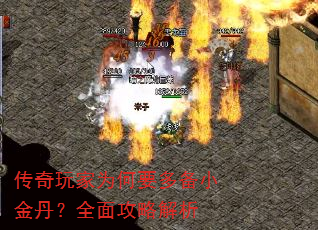 �������Ϊ��Ҫ�౸С�𵤣�ȫ�湥�Խ���