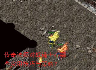 ���淨ʦ��ս��ʿ����Щʵ�ü�������ԣ�