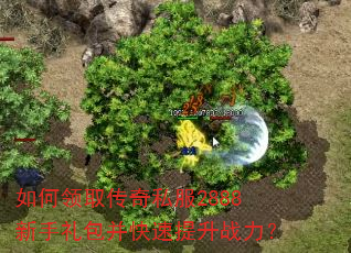 �����ȡ����˽��2888�����������������ս����