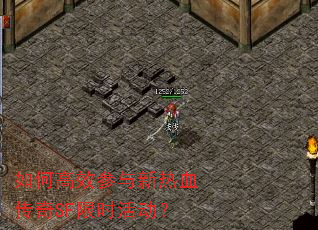 ��θ�Ч��������Ѫ����SF��ʱ���