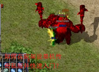 ����ڼҼ��赥������˽�����������ţ�