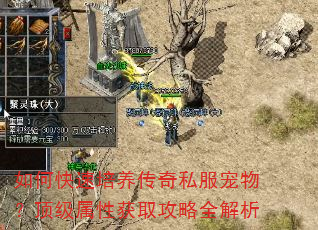 如何快速培养传奇私服宠物?顶级属性获取攻略全解析 如何快速培养传奇私服宠物?顶级属性获取攻略全解析