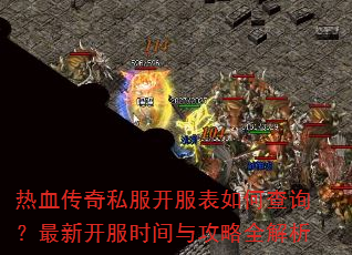 ��Ѫ����˽����������β�ѯ�����¿���ʱ���빥��ȫ����