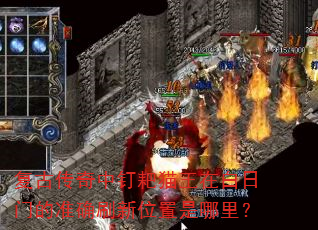 ���Ŵ����ж���è���ڰ����ŵ�׼ȷˢ��λ�������