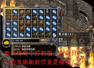 ���Ŵ����ж���è���ڰ����ŵ�׼ȷˢ��λ�������