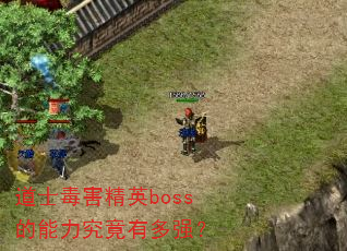 ��ʿ������Ӣboss�����������ж�ǿ��