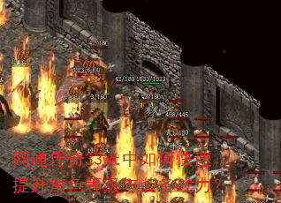 ��ͨ����33wt����ο���������ɫ�ȼ���װ��ս����