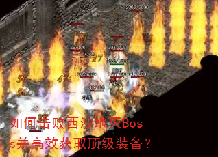 ��λ�����ɳ����Boss����Ч��ȡ����װ����