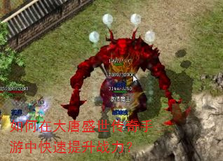 ����ڴ���ʢ�����������п�������ս����